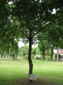 Greenwich Meridian Marker; England; Lincolnshire; East Kirkby